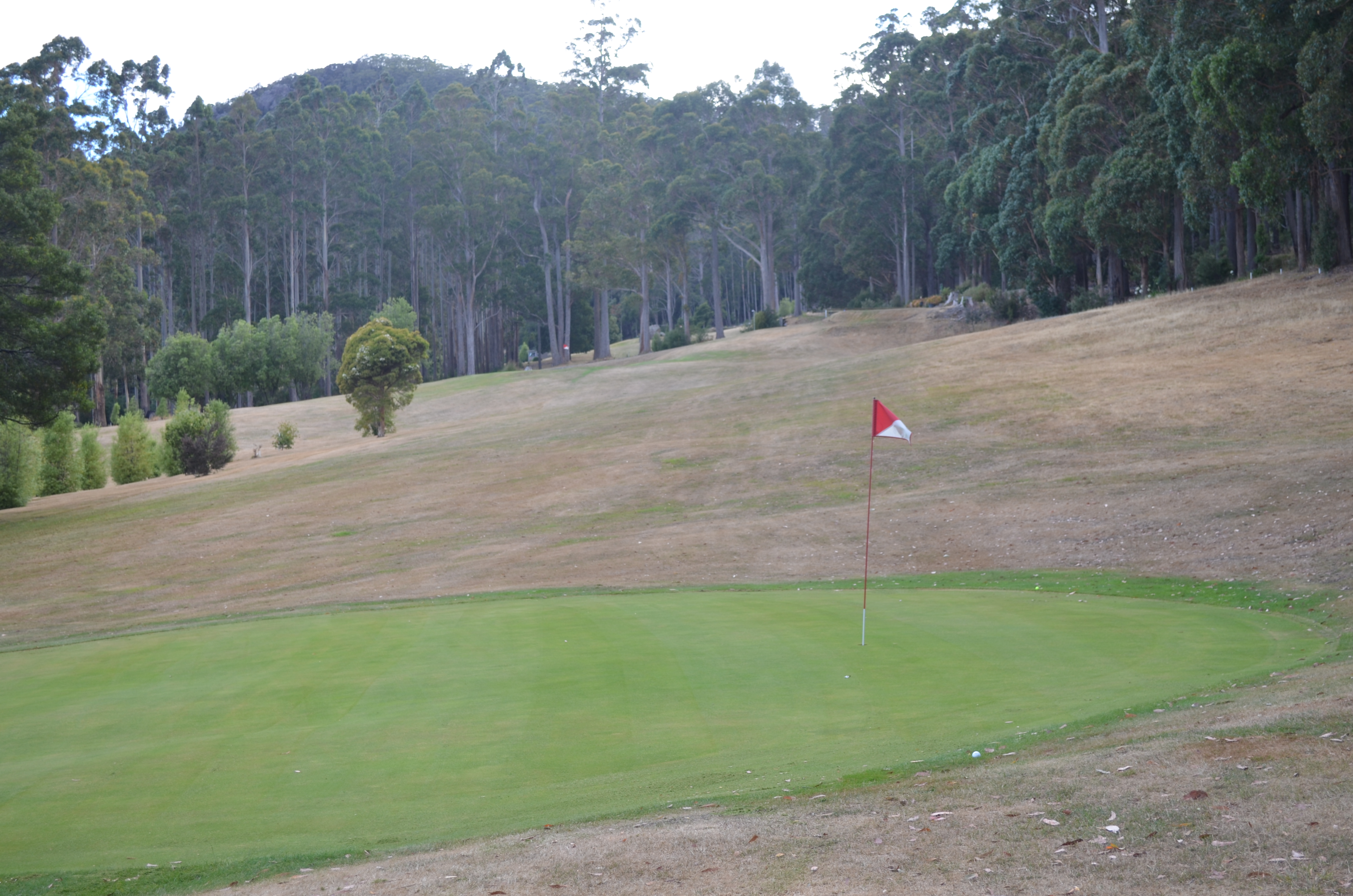 Second Green