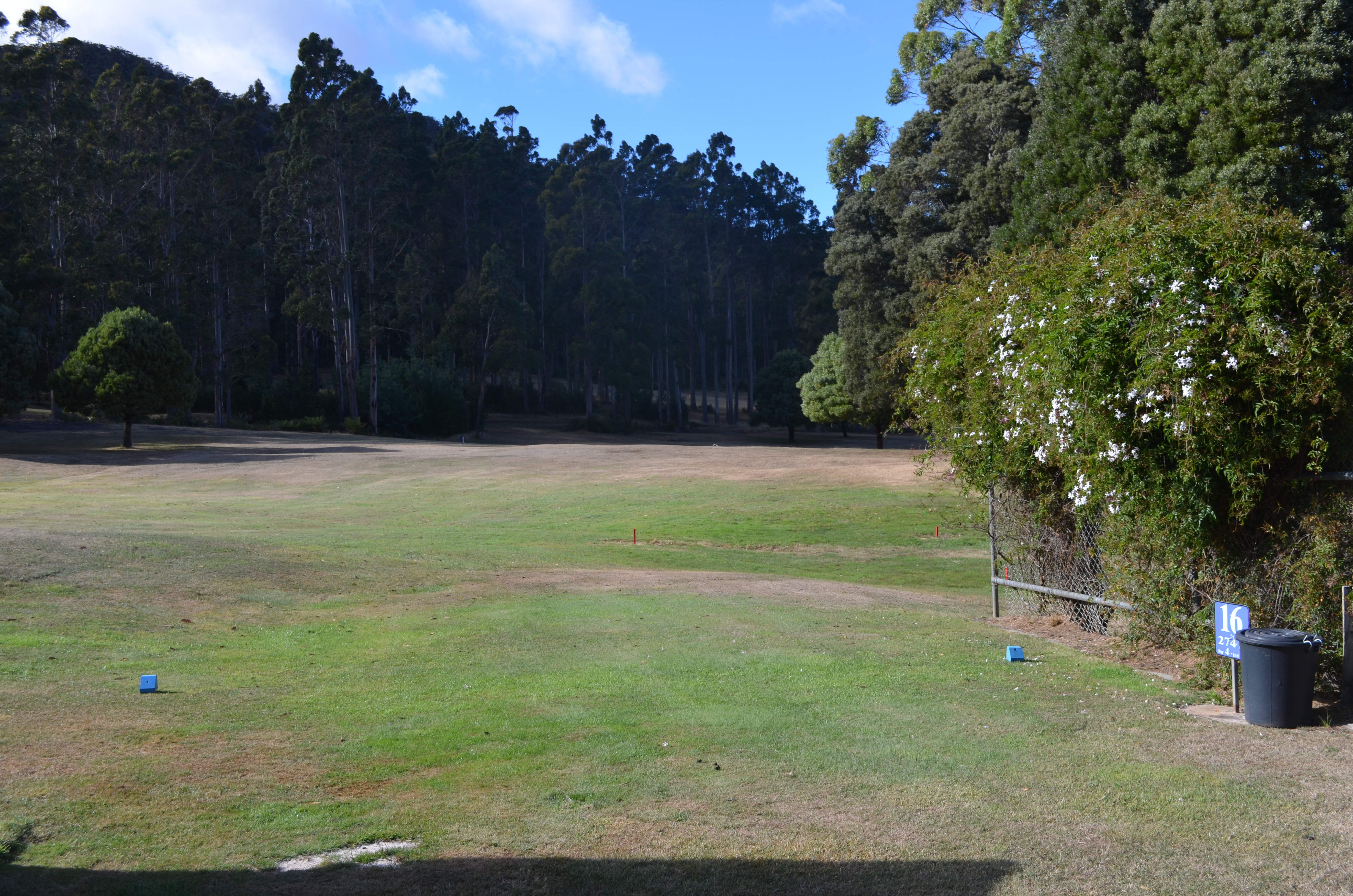 Seventh Tee (Blue)